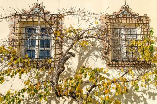 Hotel Gr�nwalderhof