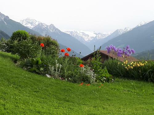 Apartamento Ferienwohnungen Tiroler Alpenhof
