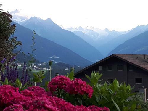 Apartamento Ferienwohnungen Tiroler Alpenhof
