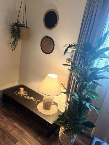 Apartamento ??? ?????? ??????
