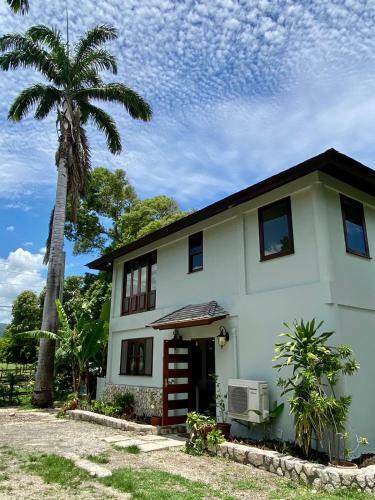 Tikal Villa (Jamaica)