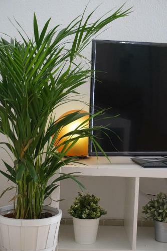 Apartamentosmalaga