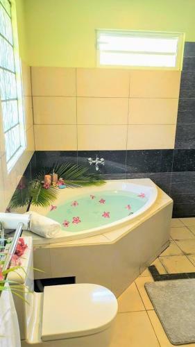Moorea - Villa Maoe Pool