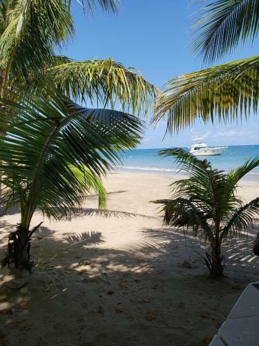 Reef Winds Villa