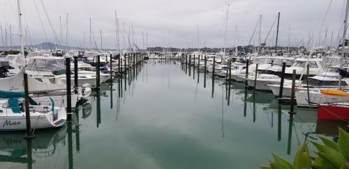 Marina, Mountain, Macleans, Memories!