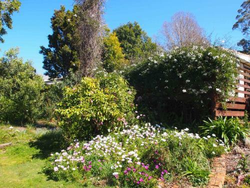 Cosy, Comfortable Cottage - Views & Location Plus