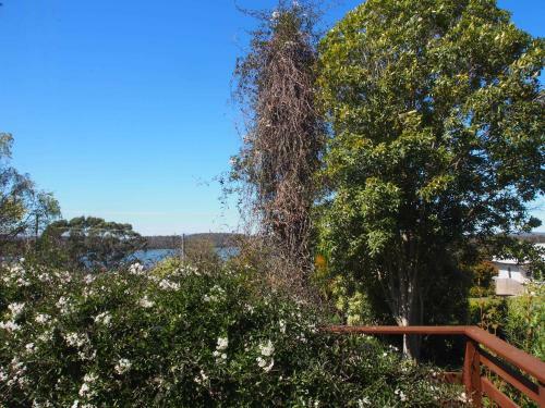 Cosy, Comfortable Cottage - Views & Location Plus