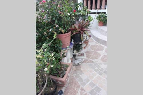 Apartamento Mansfield Of Dreams & Views