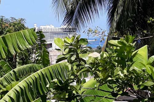 Apartamento Mansfield Of Dreams & Views