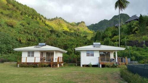 Villa Snp- Palms