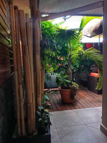 Hostal Tamanu Lodge