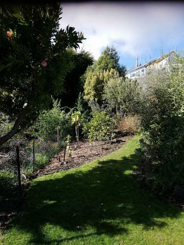 Bed & Breakfast Whaka Heights