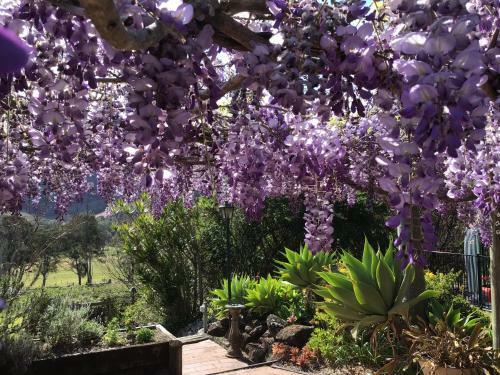 Apartamento Tantallon