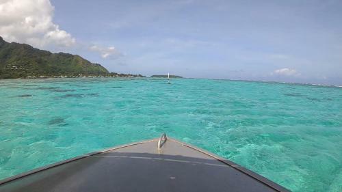Fare Vaikea Moorea