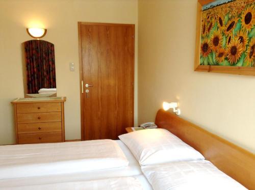 Hostal Parkpension Billroth