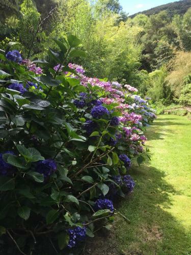 Bed & Breakfast Hereweka Garden Retreat