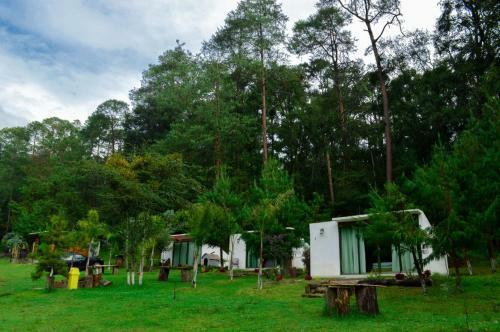 Lodge Caba�a En El Bosque En Acaxochitl�n
