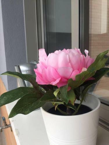 Apartamento Estudio Centrico Y Moderno En Malaga