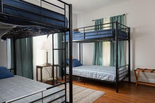 Redmont Revival-walkable-pets-uab