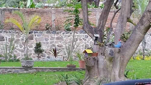 Mexican 1 Level Hacienda