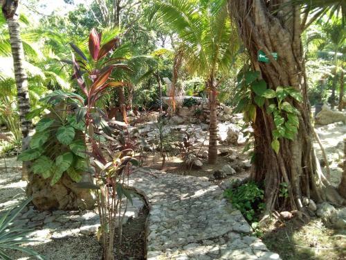Agroturismo Villas Tortugas Akumal