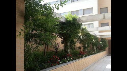 Apartamento Playa Y Piscina 1-4 Personas