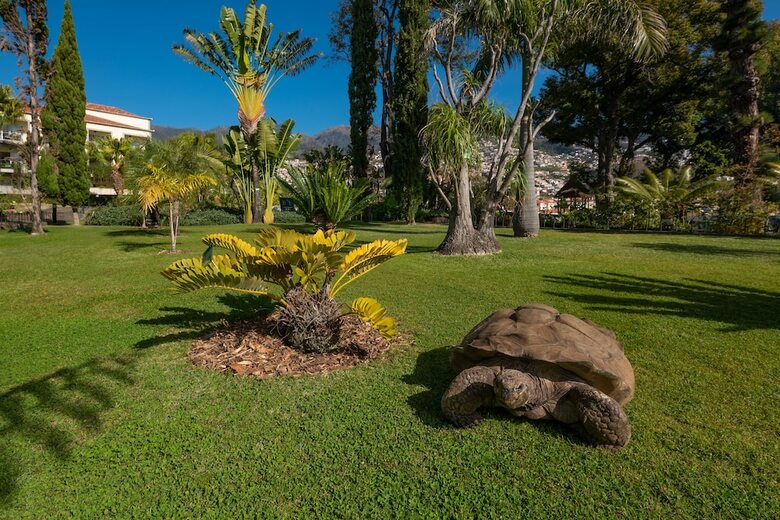 Hotel Quinta Jardins Do Lago