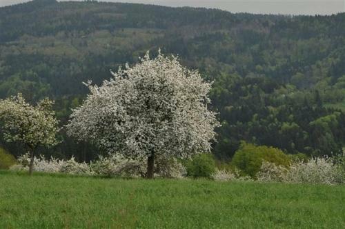 Hostal G�stehaus Freitag
