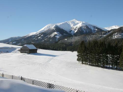 Chalet Elisabeth