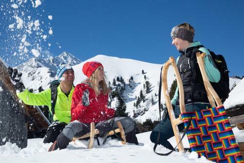 Alpenhotel Lanz