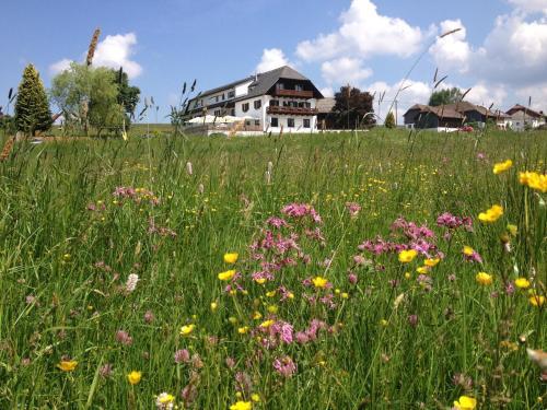 Hostal Forellenwirt