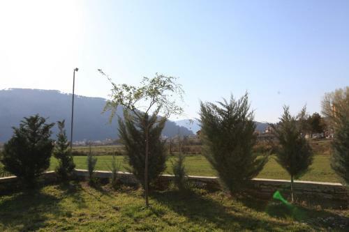 Camping Green House