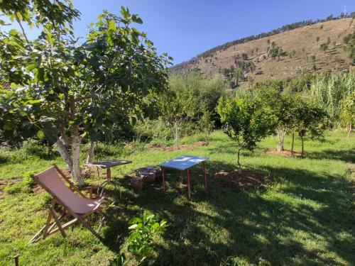 Olive B&B