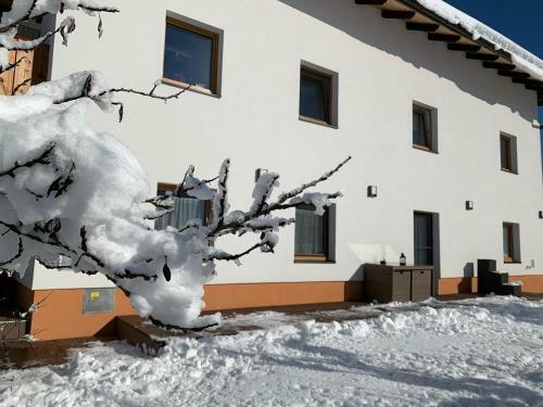Apartamento Schusterbrand