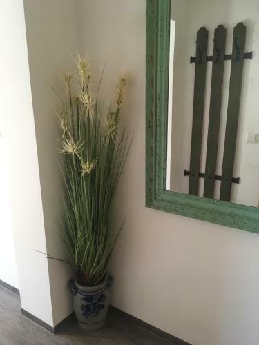 Apartamento Haus Gsenger