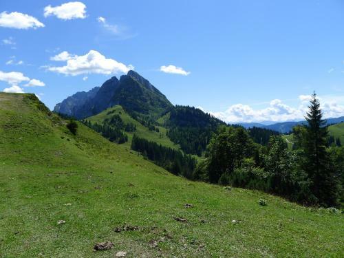 Apartamento Alpenhaus Dachstein.zauber
