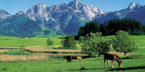 Apartamento Ferienwohnung Lechner