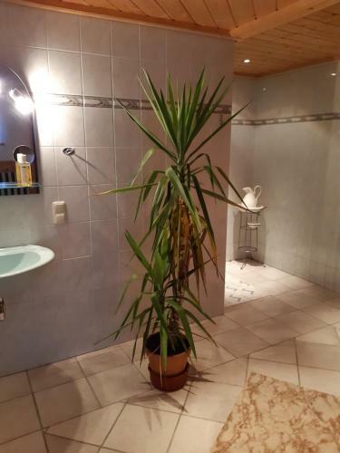 Apartamento Ferienwohnung 2 Haus D�rfler