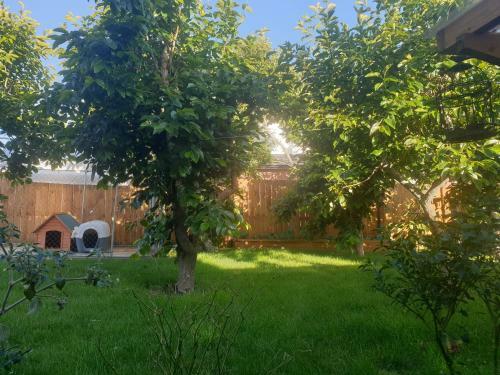 Bed N Breakfast On Pear Tree Lane