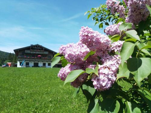 Apartamento Ferienwohnung Hinterwinkl