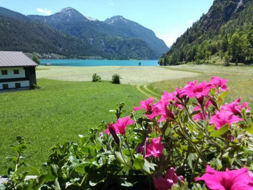 Apartamento Ferienwohnung Hinterwinkl