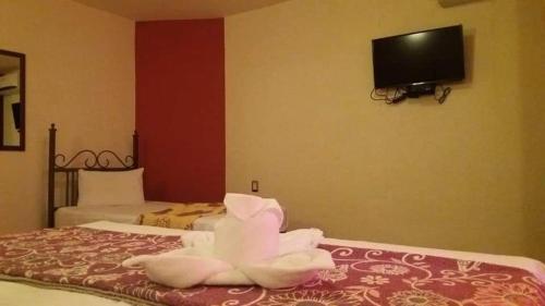 Hotel Maya 2012