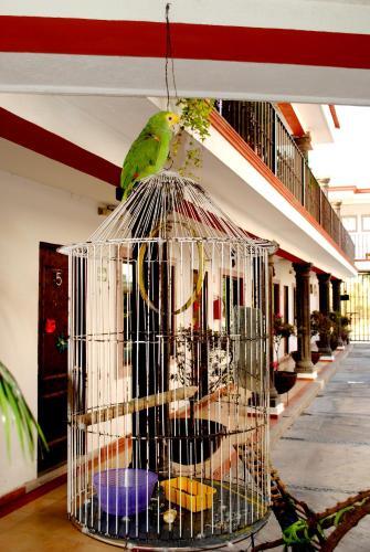 Hotel Maya 2012