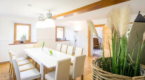 Wiesengut , Alleinstehende, Deteched, Austrian Style, Villa Mit Pool