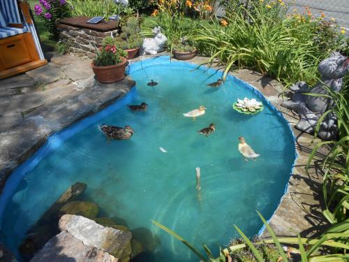 Hostal Pension Gierlinger