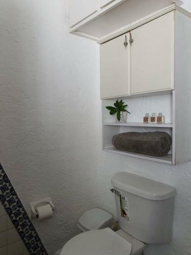 1o2 Casas Solas Juntas Alberca Centro Ideal Contingencia Home Office