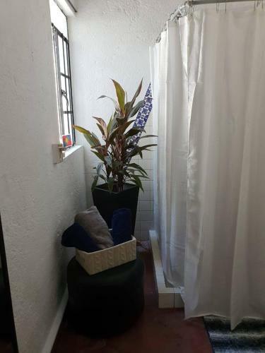 1o2 Casas Solas Juntas Alberca Centro Ideal Contingencia Home Office
