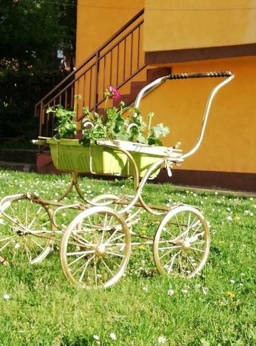 Apartman Jovicic