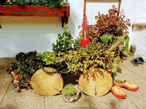 Bed & Breakfast M�hlnerhof Familie Gruber