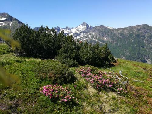 Bed & Breakfast M�hlnerhof Familie Gruber